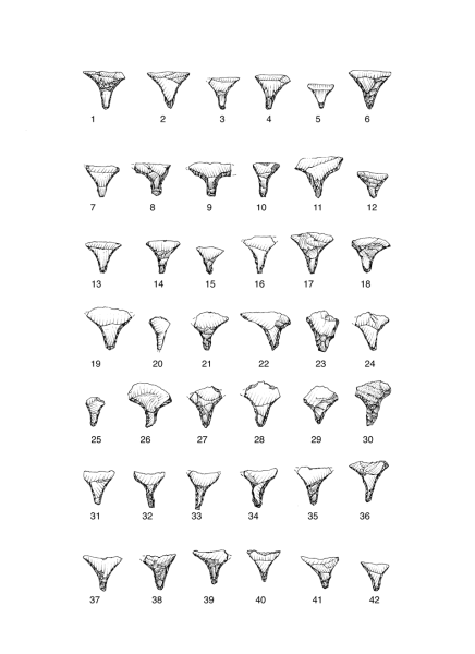 Datei:Egypten Tafel 24 Num.png