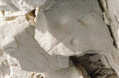 Foto 11 1005 83 Ausschabungen u Bohrungen.jpg