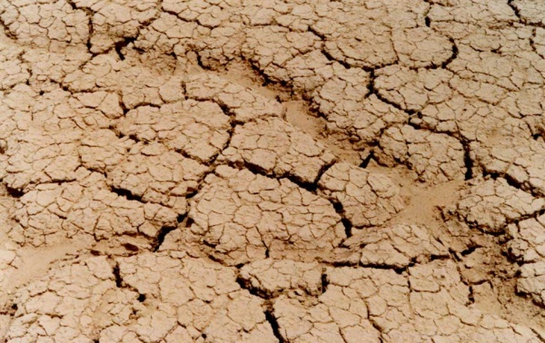 Foto Playa West neu.jpg