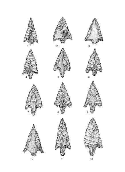 Datei:Egypten Tafel 15 Num.png