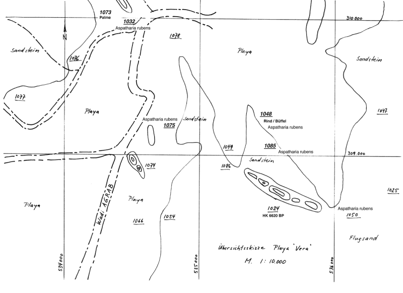 Datei:Uebersicht Playa Renate Taxa.png