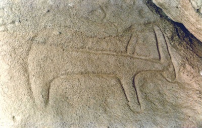 Foto 6 1005 83 großer Vierbeiner.jpg