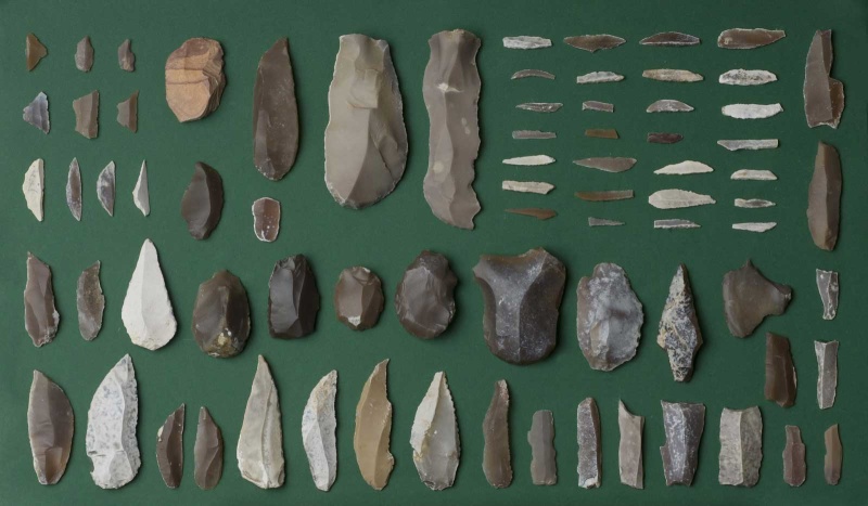 Datei:Eickelkamp 0055 X Tunesien.jpg