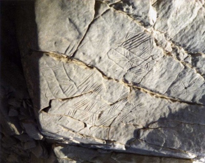 Foto Jakobsfelsen Strichmuster.jpg