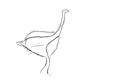 Bild 25 1006 83 Strauß.png