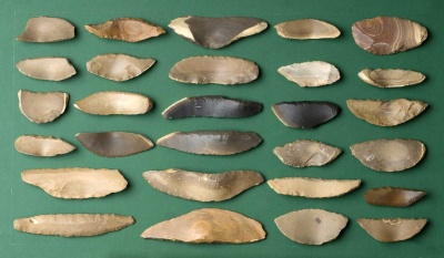 Eickelkamp 0171 O AbuTartur Sideblow.jpg