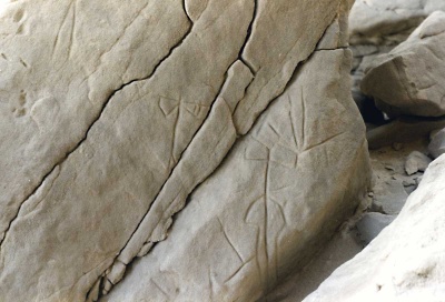 Foto 29 1006 83 Doppelaexte.jpg