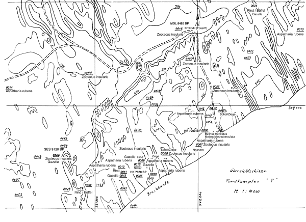 Fundkomplex T Taxa.png